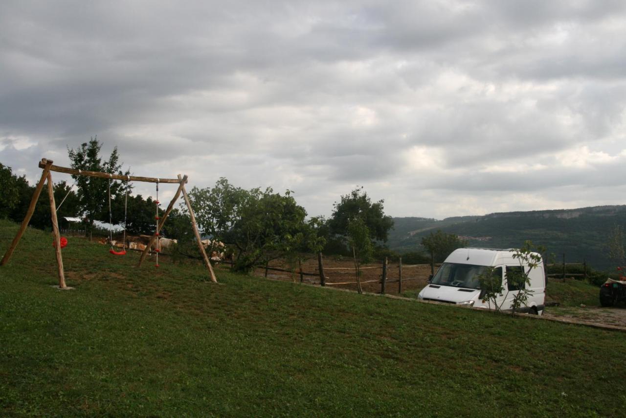 Jakomin